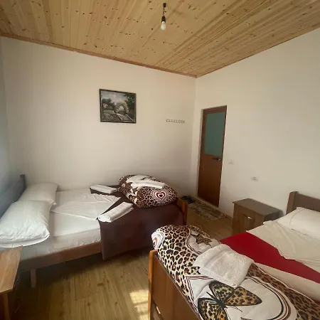 “ Center “ Guest house Theth
