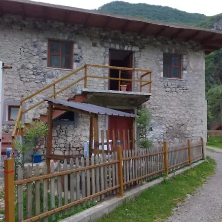 “ Center “ Guest house *