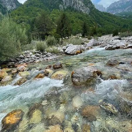 Maison d'hôtes “ Center “